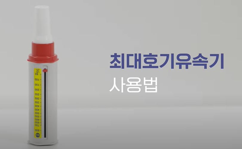 갤러리